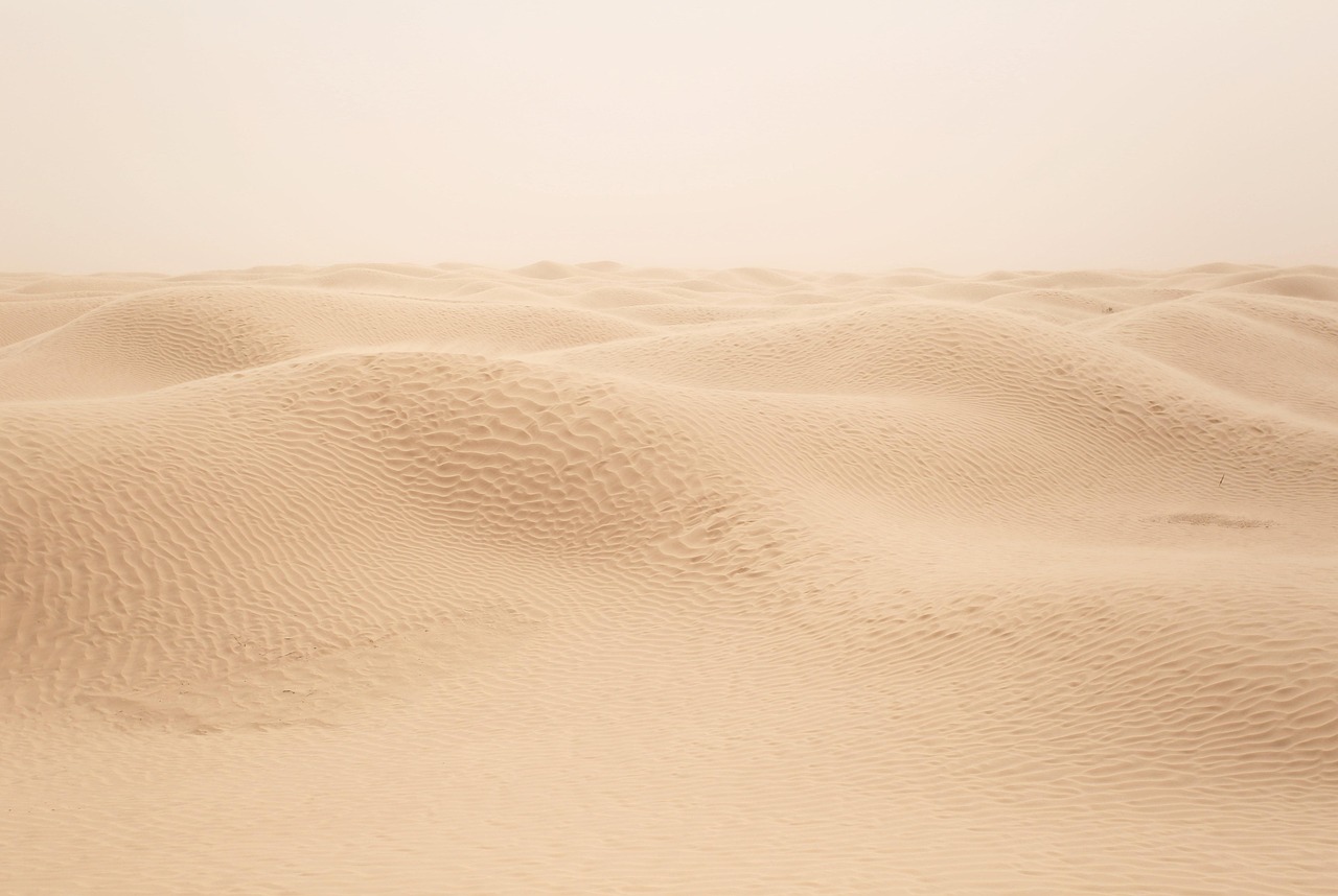 sand, desert, sahara, dune, nature, africa, tunisia, sand, sand, desert, desert, desert, desert, desert, tunisia